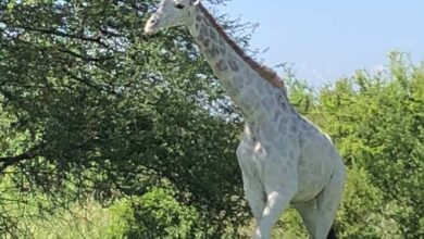 Le fruit d’un travail exemplaire ! (23/10/2021)