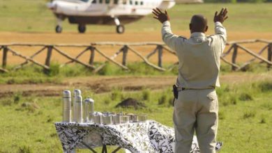 Simplification des démarches dans la préparation de votre safari en Tanzanie ! (01/05/2021)