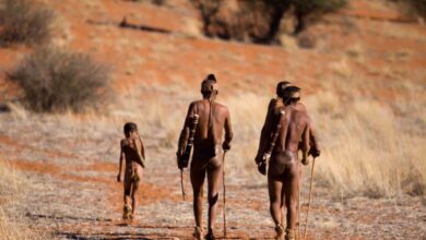 Information Coronavirus (27/11/2021)