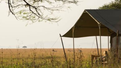 Témoignage de clients partis avec leur petite fille ! (24/07/2021)