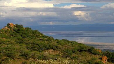 Melia Collection ouvre le Ngorongoro Lodge en Tanzanie (29/07/2023)