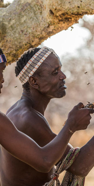 Legendary Expeditions - Tanzania