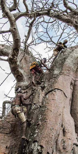 Legendary Expeditions - Tanzania