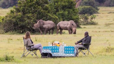 Afrique de l’Est : Marriott étoffe son portefeuille de camps de safaris de luxe (28/02/2025)