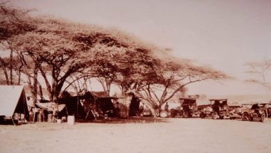 African Road Safaris : une reconnexion avec nos origines.