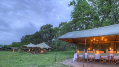 Nouveau camp de brousse au Botswana (03/12/2020)