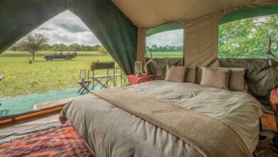 Nouveauté dans notre camp de brousse en Tanzanie (21/10/2023)