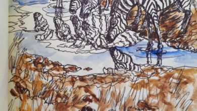 Aérien : Les TO (r)appellent les compagnies à leurs responsabilités (31/08/2024)