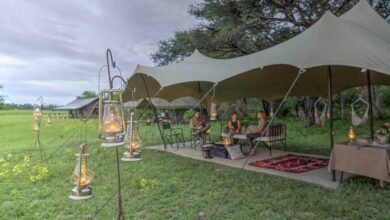 Tanzanie : l’engouement des Français se confirme (01/07/2023)